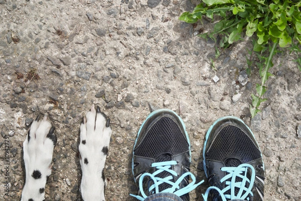 Fototapeta Close friendship between dog and its owner