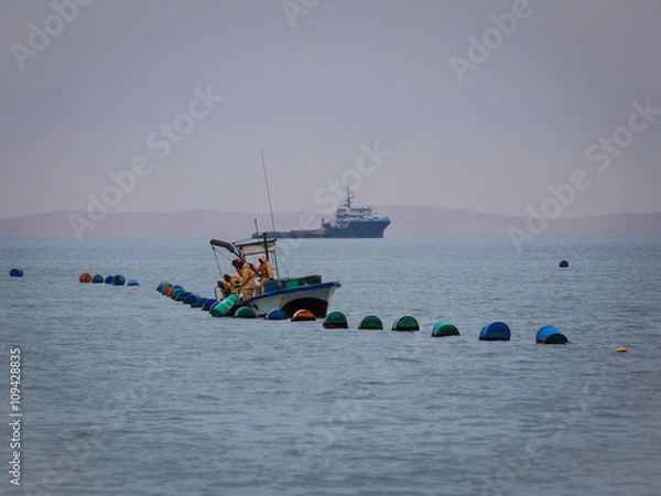 Obraz Oyster fishing