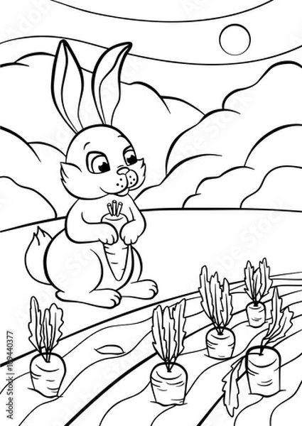 Fototapeta Little cute rabbit stands and holds carrot in the hands.