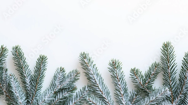 Fototapeta Christmas border with fir branches and snow, flat lay design on a white background, perfect for banners, mock-ups, and copy space concepts.