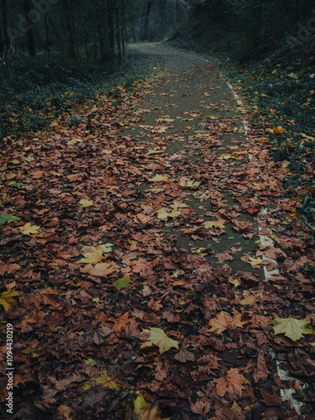 Fototapeta Forest path covered in fallen leaves