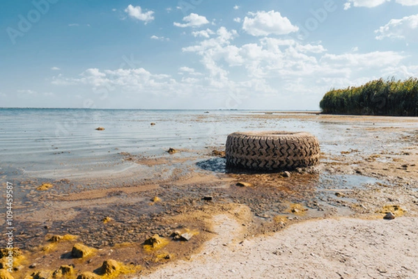Fototapeta Panorama of a dried-up lake on a sunny summer day. Concept of the problem of climate change, drought and drying up of reservoirs