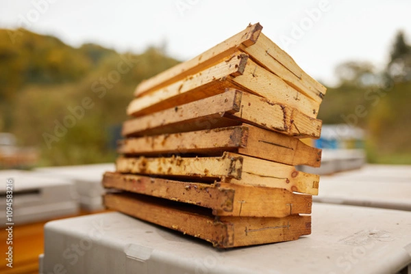 Obraz Stack of wooden frames with honeycombs.