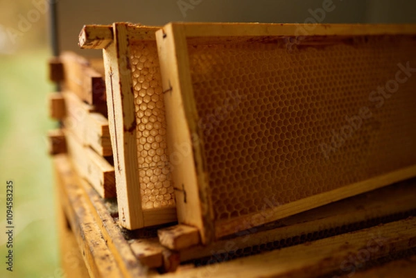 Obraz Stack of wooden frames with honeycombs.