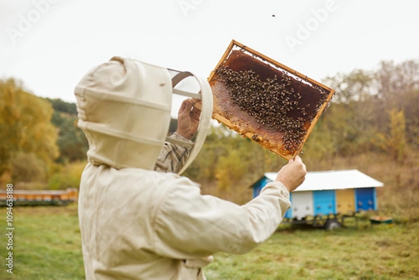 Obraz Beekeeper holding a frame with honeycombs and bees in his hands against the background of a beautiful autumn landscape.