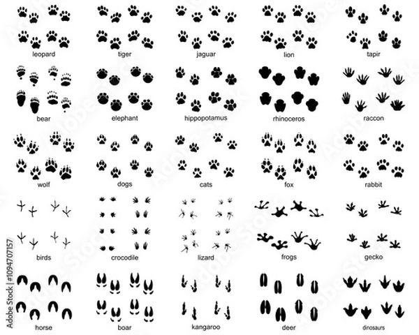Obraz Set of  traces of wild animals, illustration of black silhouettes	