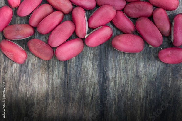 Fototapeta  jack bean