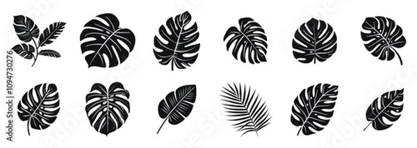 Fototapeta Black and white tropical leaves and plants in various shapes and patterns, vector illustration set. Includes monstera, palm, and other exotic leaves in a stylized, simple design.