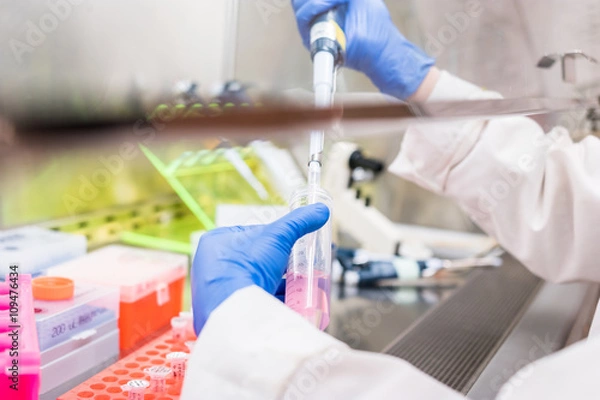 Obraz scientist working in the fume hood