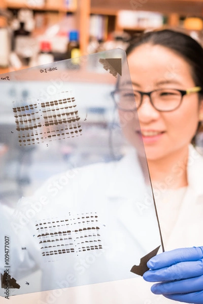 Obraz Good western blot result on a film
