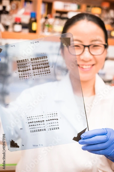 Obraz Good western blot result on a film