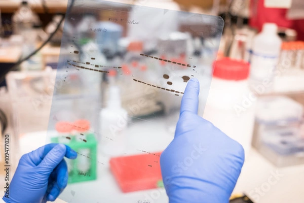 Obraz researcher working on gel results
