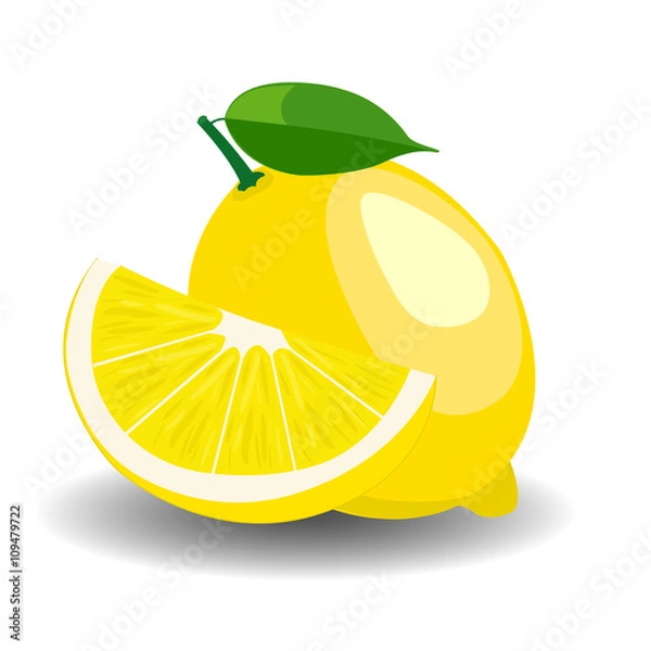 Obraz Fresh lemons vector illustration