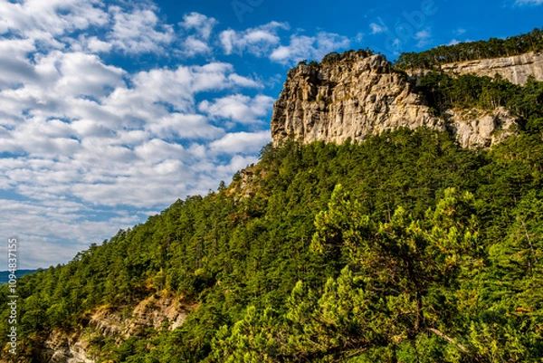 Fototapeta Cliffs covered with forest against the sky on a summer day.