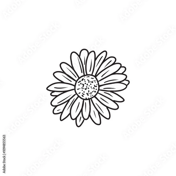 Obraz An elegant and beautiful daisy chrysanthemum flower in black isolated on white background. Hand drawn vector sketch illustration in doodle engraved vintage line art style. Coloring book, plant