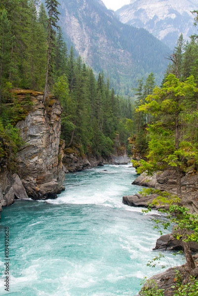 Obraz Downstream from the waterfall