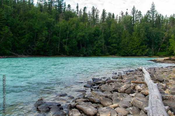 Obraz River in the forest