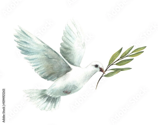 Fototapeta Pigeon with olive green branch. White flying dove bird, symbol of peace, religious sign. Watercolor hand drawn illustration for card, invitation for first communion, Baptism. Isolated from background