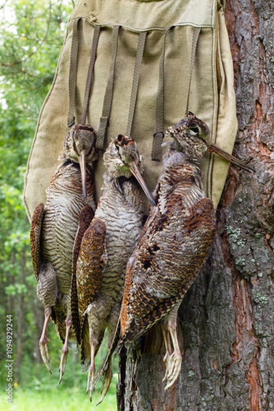 Obraz three shot woodcocks and a hunting bag