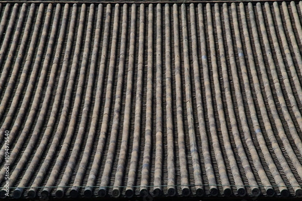 Fototapeta 曲線美