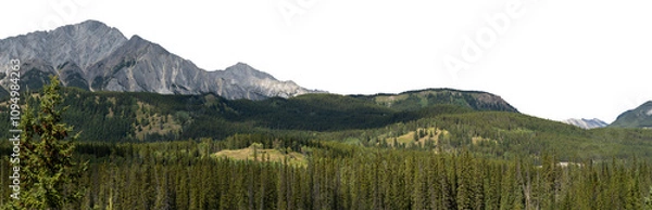 Fototapeta Panorama of a mountain scene with an evergreen forest in the midground. Transparent sky. Banff
