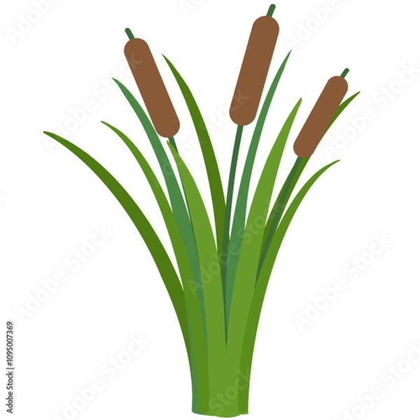 Obraz Reed cartoon hand drawn 