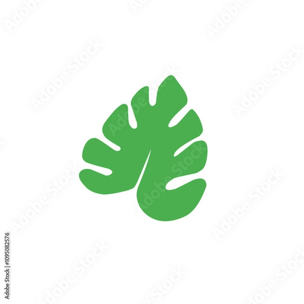 Fototapeta green monstera leaf vector