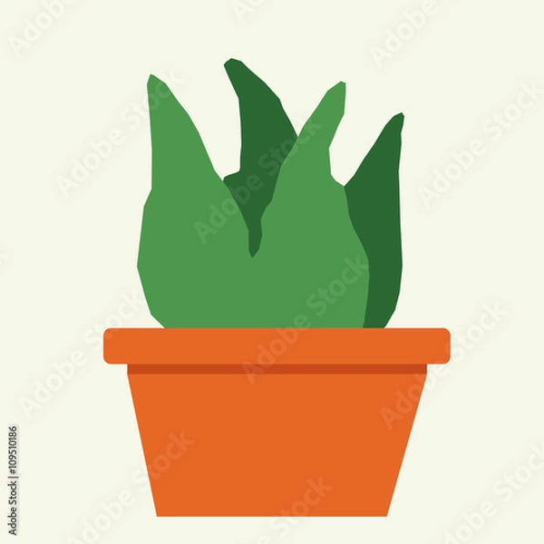 Obraz Cactus in a pot