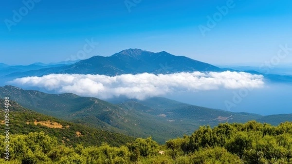 Fototapeta Majestic Mountain Landscape with Sea of Clouds Panoramic View