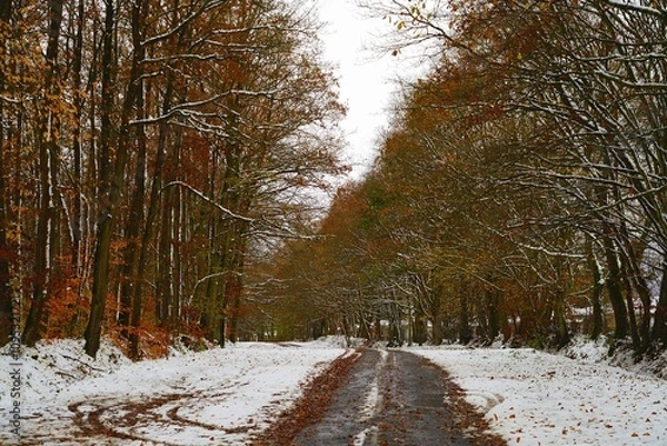 Obraz Prémices d'hiver