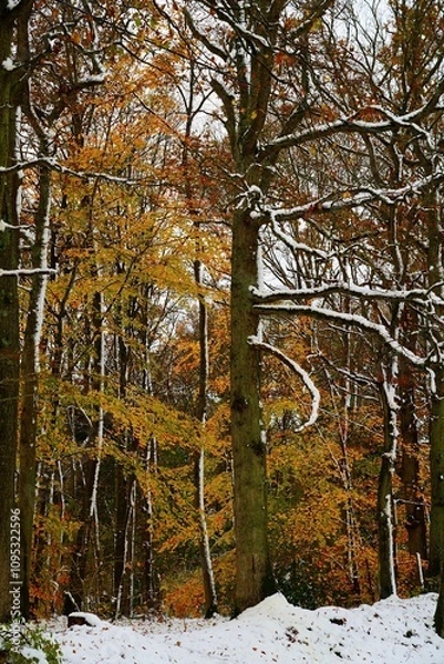 Obraz Souffle d'hiver