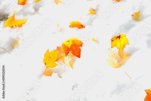 Obraz Croisement Automne Hiver