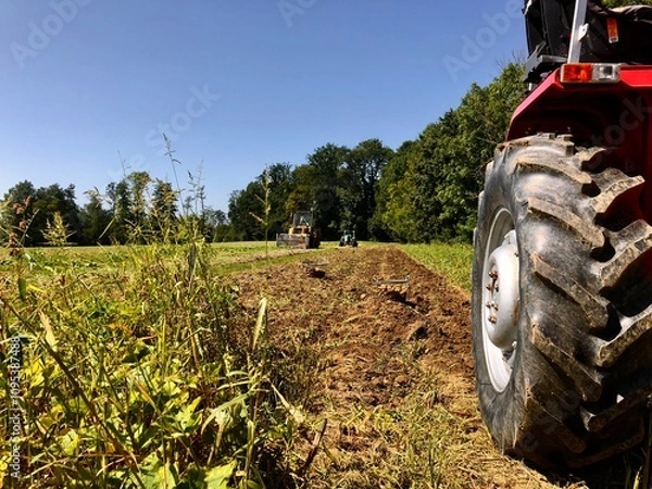 Obraz Kartoffelernte