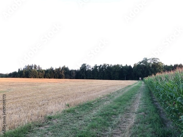 Fototapeta Kulturflächen