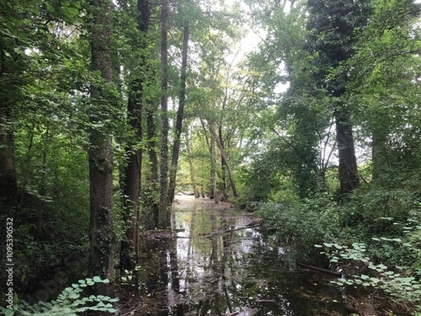 Obraz Entwässerungskanal