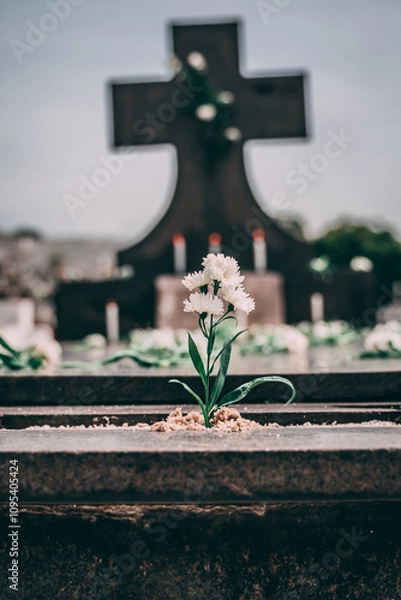 Fototapeta Flor com lápido ao fundo