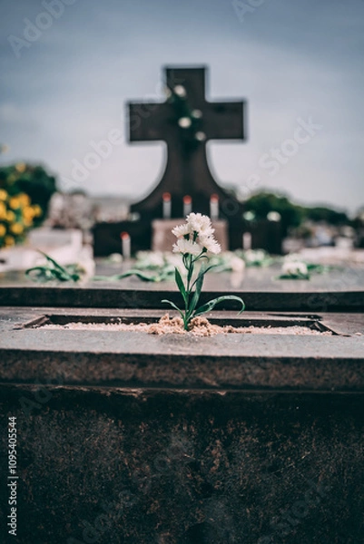 Fototapeta Flor com lápido ao fundo