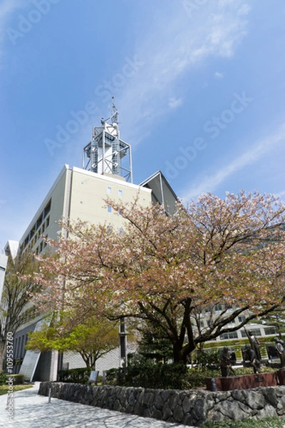 Fototapeta 富山市役所