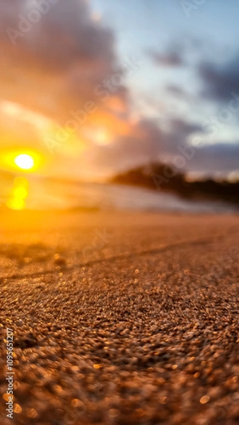 Obraz sunset on the beach