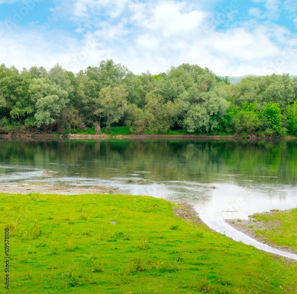 Fototapeta plain river with inflows and floodplain forest