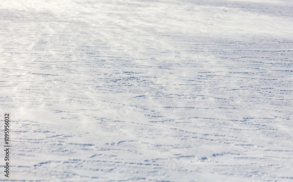 Fototapeta The snow is white and the ground is covered in it
