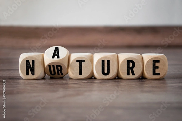 Obraz Cubes, dice or blocks with nature and nurture on wooden background