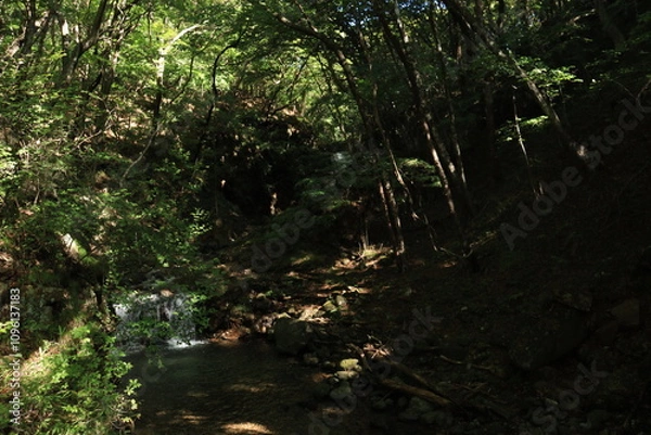 Fototapeta 龍王峡