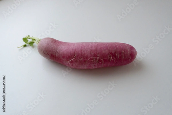 Fototapeta レディサラダ