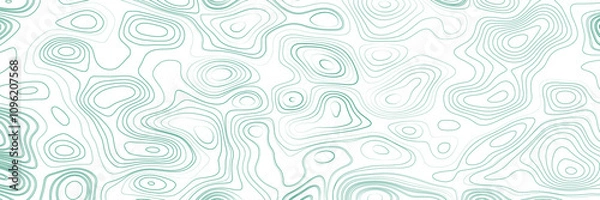 Obraz Background of the topographic map. topographic line contour map background, geographic grid map, stock vector illustration