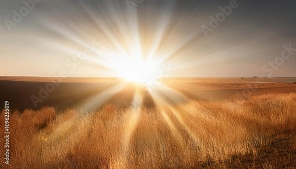 Fototapeta light background with sun burns