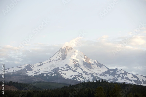Fototapeta View of Mt. Hood