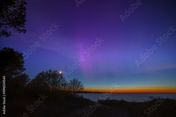 Fototapeta Display of purple and pink aurora borealis over the Baltic sea in Estonia. Trees silhouettes.