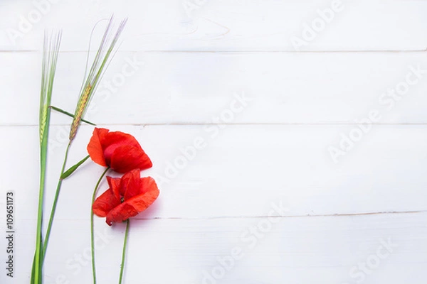 Fototapeta maki i uszy