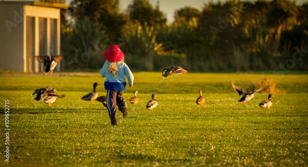 Obraz child chasing ducks